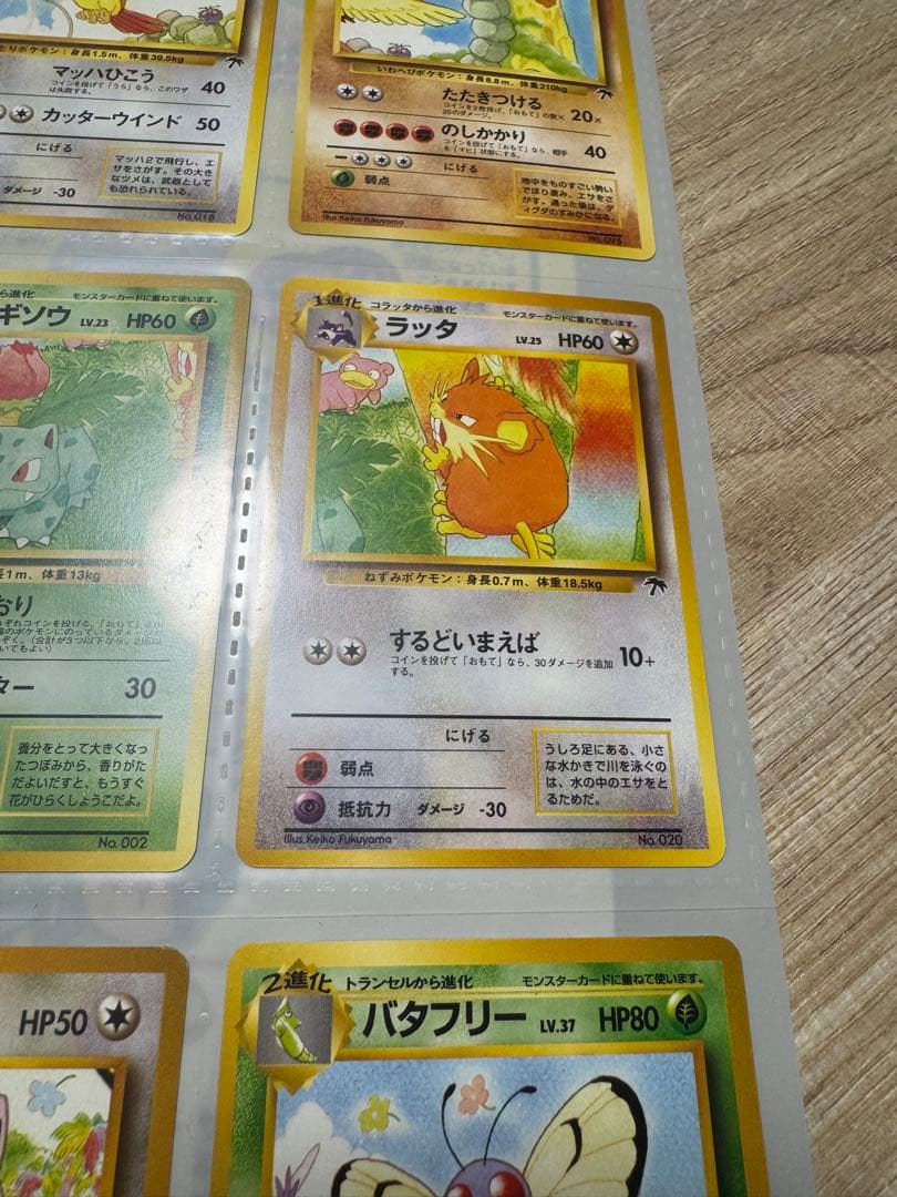 【美品】希少！レインボーアイランド サザンアイランド ポケモンカードゲーム