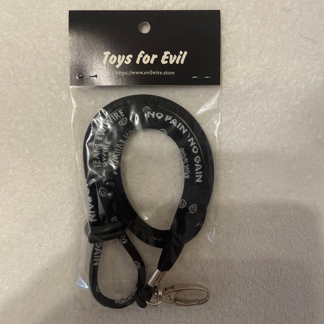 EVILWIRE ステッカーセット ネックストラップ　ミニ四駆イービルワイヤー