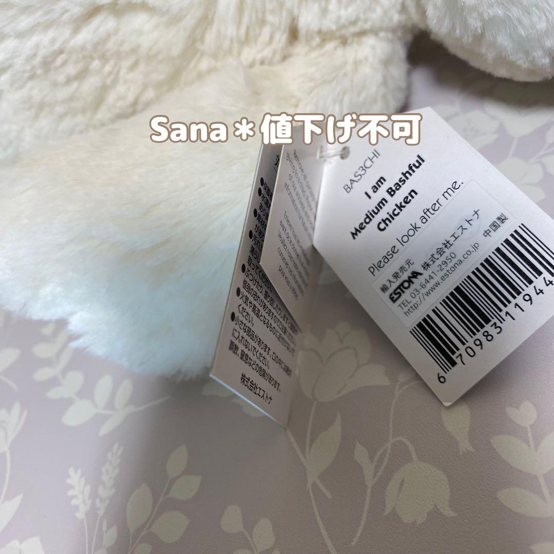 新品　 Bashful Chicken M バシュフル ニワトリ