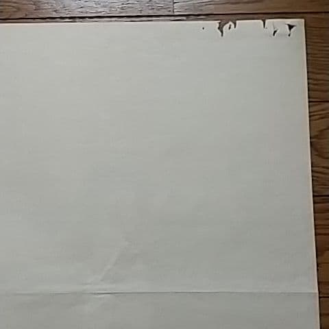 洋画    招かれざる客＆パンフレット付き