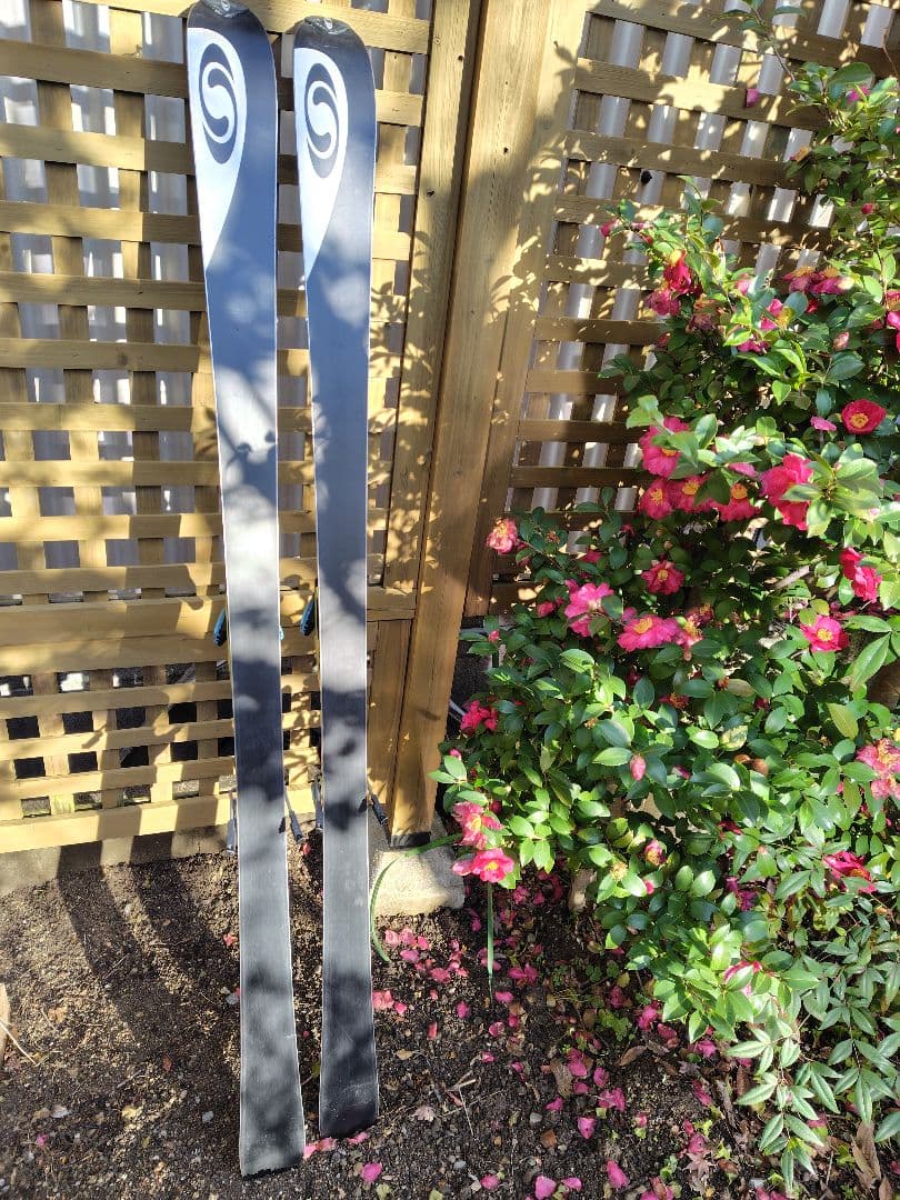 SALOMON カービングスキー ビンディング付き