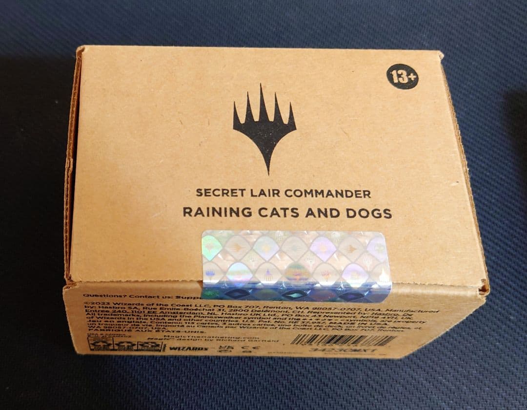 マジック：ザ・ギャザリング Secret Lair :Raining Cats and Dogs