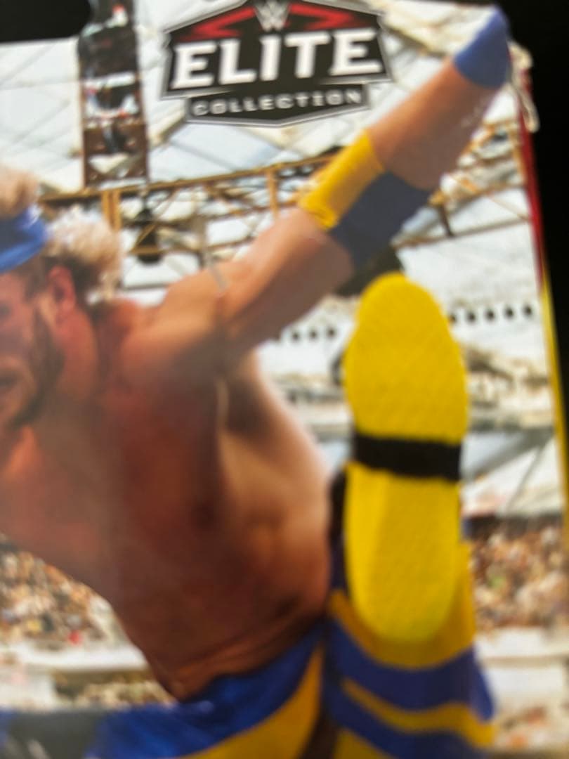 スポーツ [KK] WWE Logan Paul + Seth Rollins