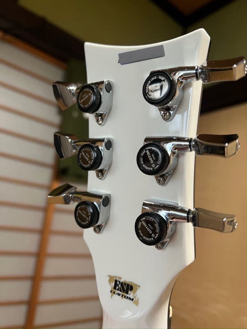 ESP eclipse カスタムオーダーメイド