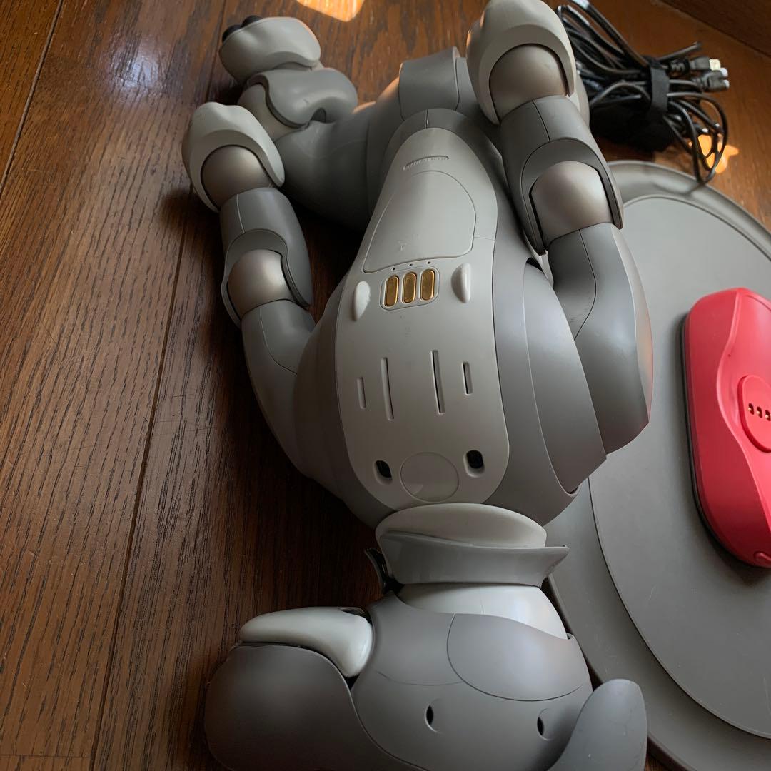 SONY アイボ　ERS1000 黒ごまアイス