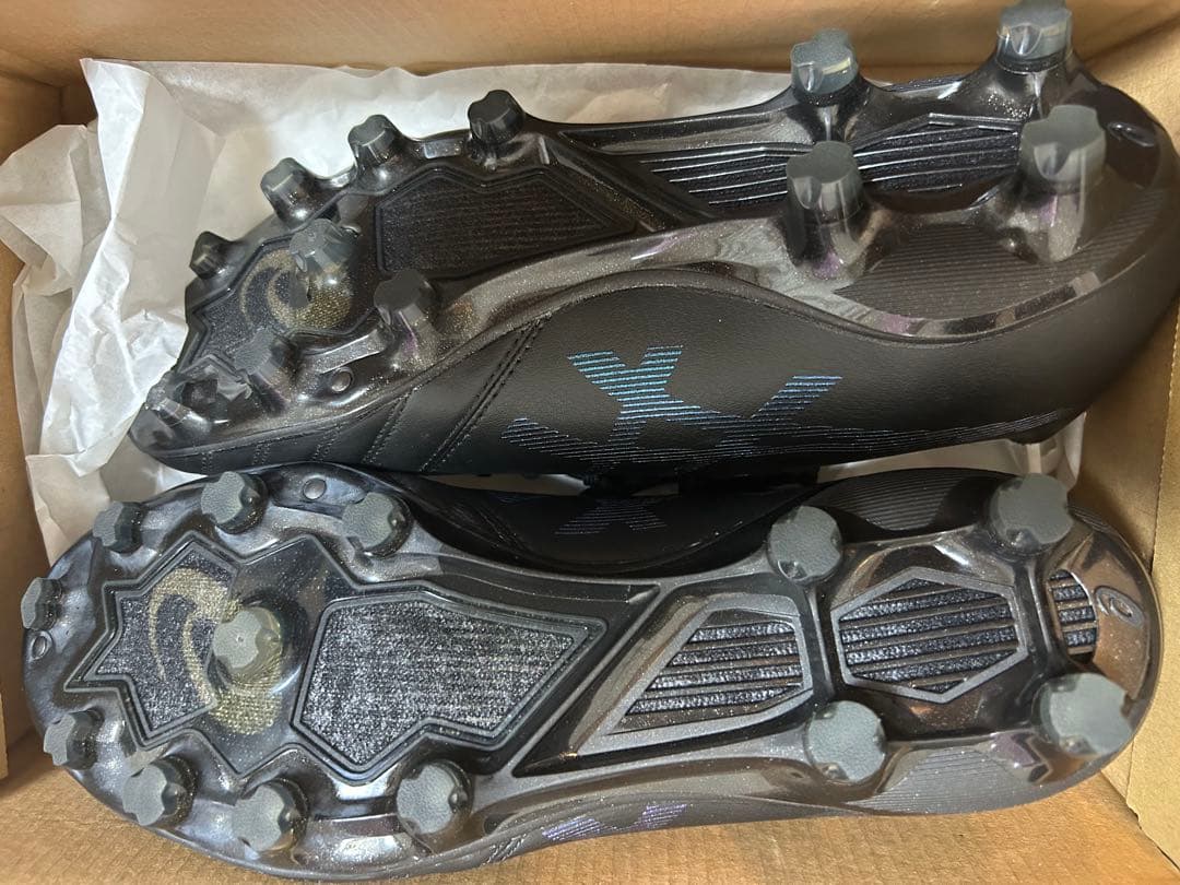 新品未使用 アシックス DSライト エックスフライ プロ 25cm