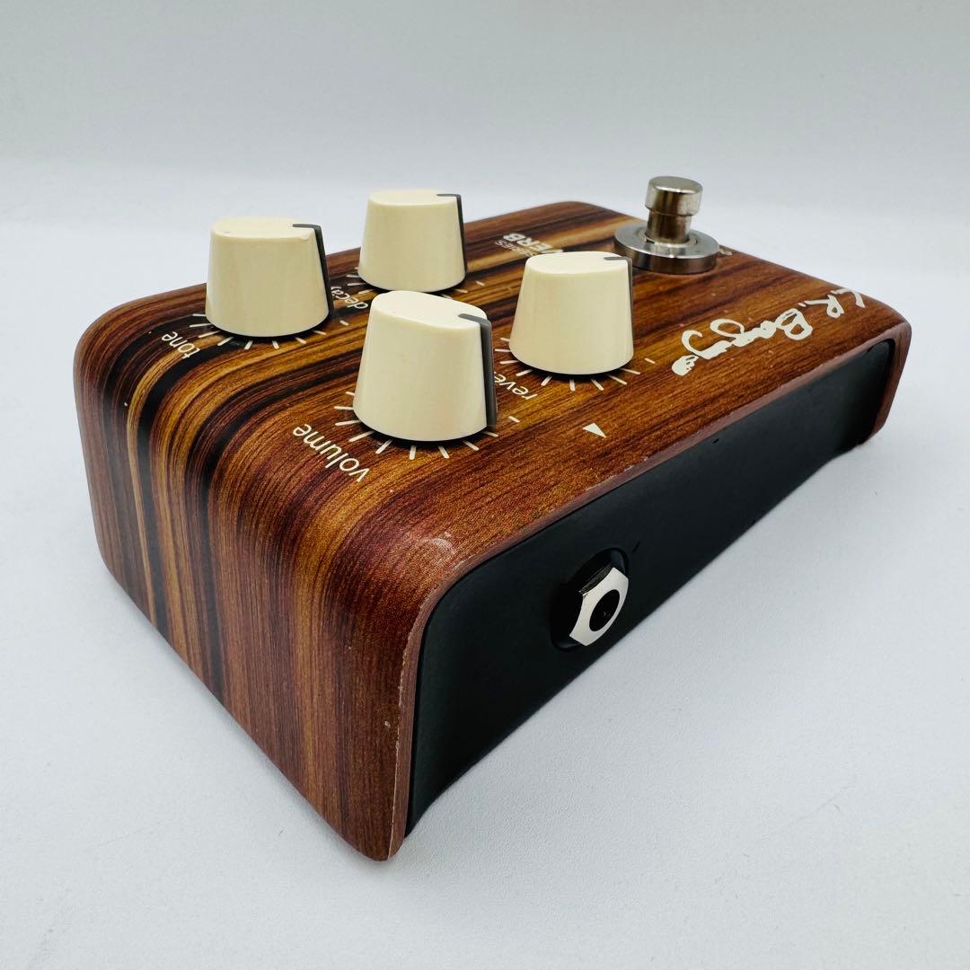 ギター L.R.Baggs ALIGN SERIES REVERB