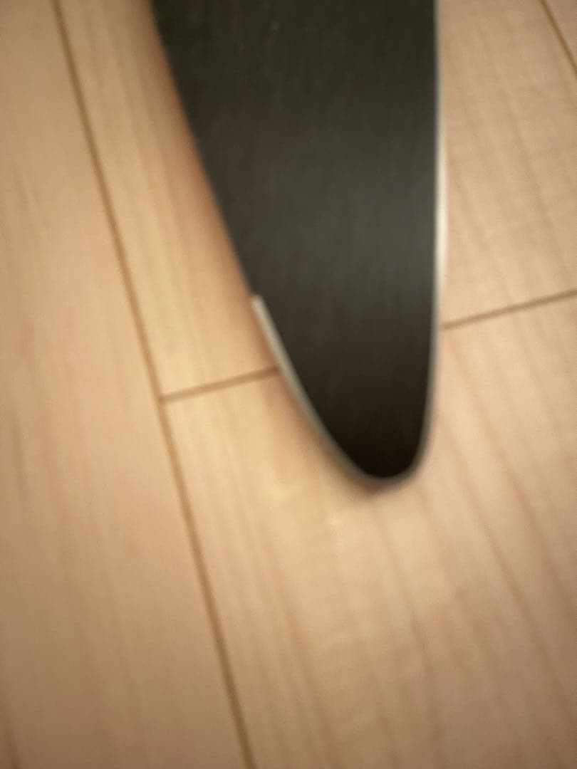 gentemstick（ゲンテンスティック ）BIGFISH⭐︎