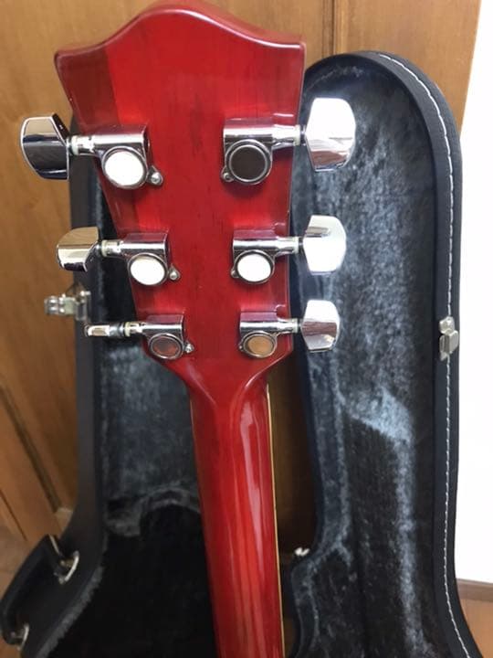 メイソン　ハードケース付‼️