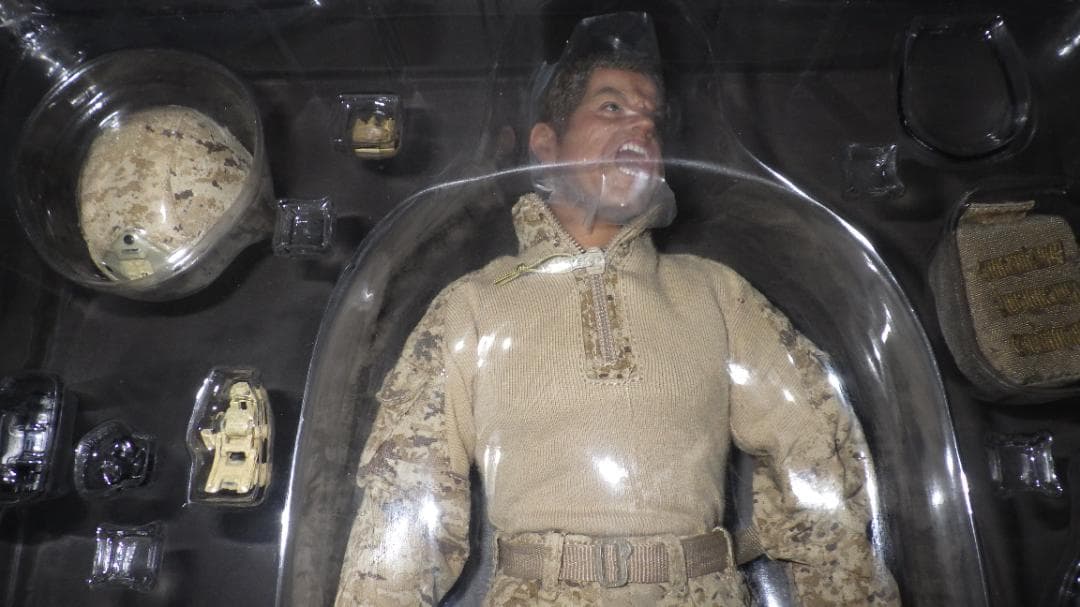 DAMTOYS　USMC M27 RIFLEMAN　78014