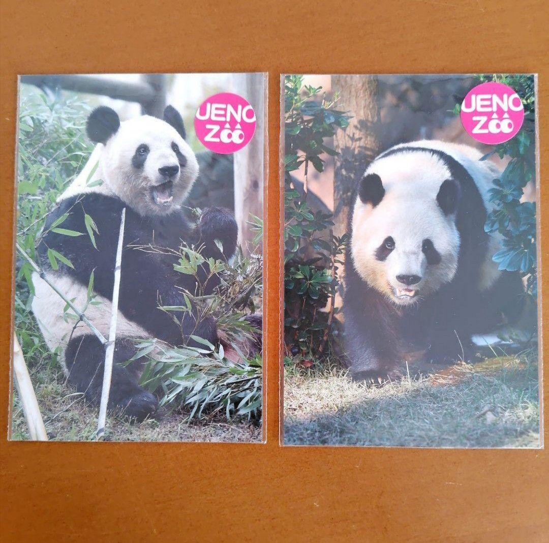 シャオシャオレイレイ グッズ まとめ売り 激レア DVD 上野動物園