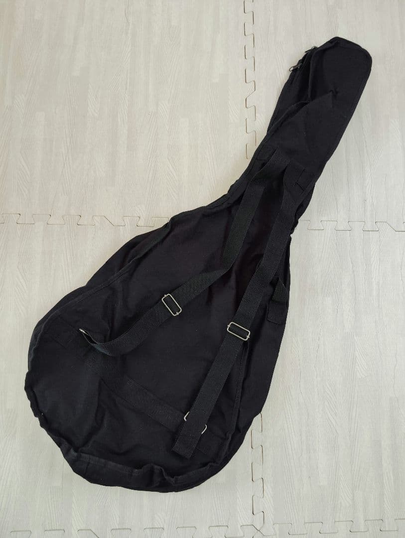 シェクター エレアコ OL-FL ナチュラル テレキャスタイプ SCHECTER