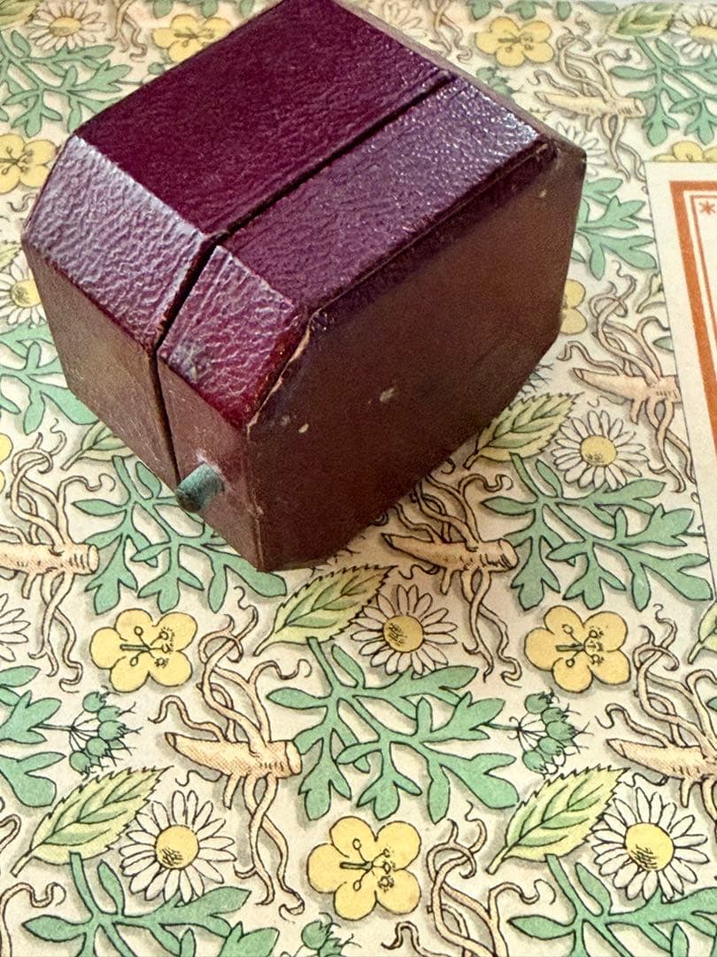 【英国アンティーク】希少 八角形リングケース／H.B. GANZ／1854創業