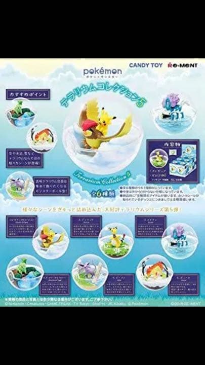 ポケモンテラリウムコレクション5 ✳︎スイクン確定