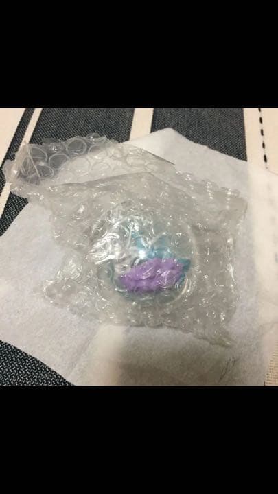 ポケモンテラリウムコレクション5 ✳︎スイクン確定