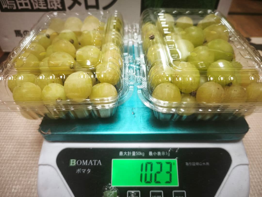 【北信州小布施のシャインマスカット】予約受付中