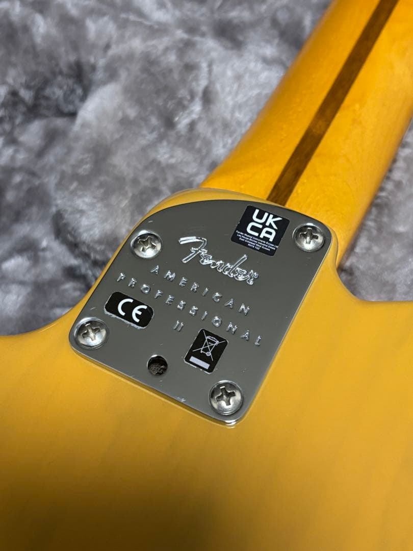 fender american professional ii テレキャス