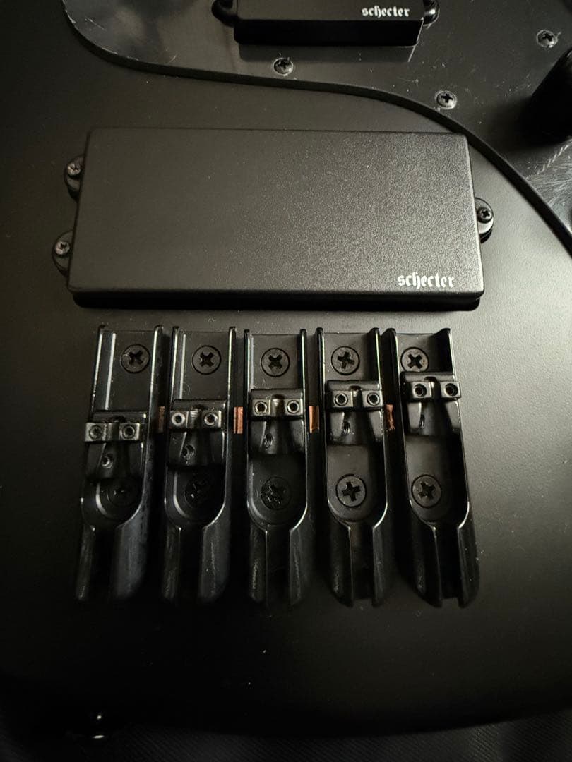 [ シェクター 5弦ベース ] Schecter STEALTH-5