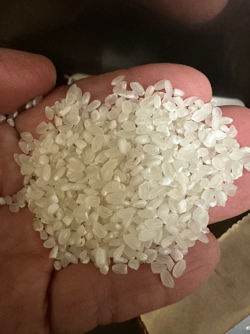 日田産米(7年度産)