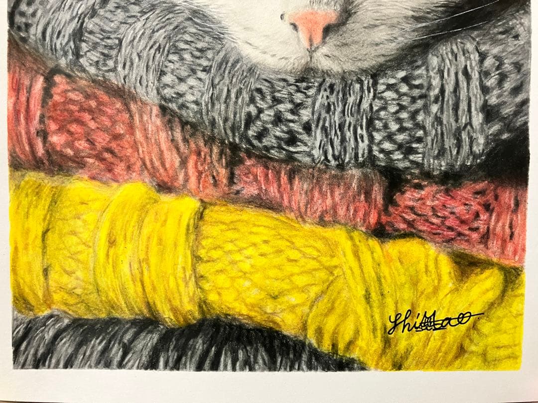 もふもふ特等席 色鉛筆画