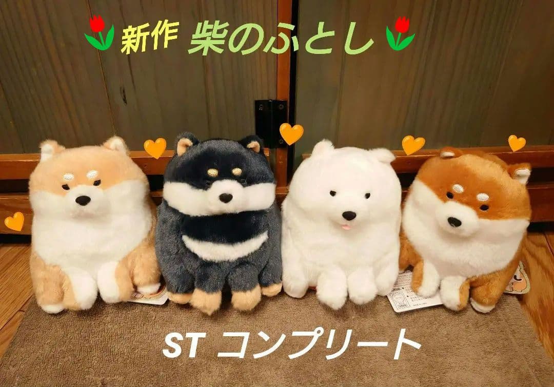 柴のふとし  STコンプリート