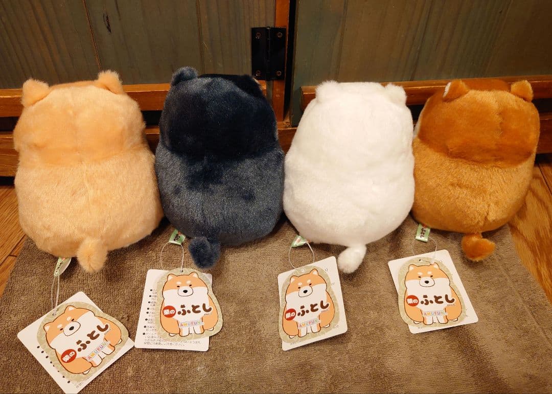 柴のふとし  STコンプリート