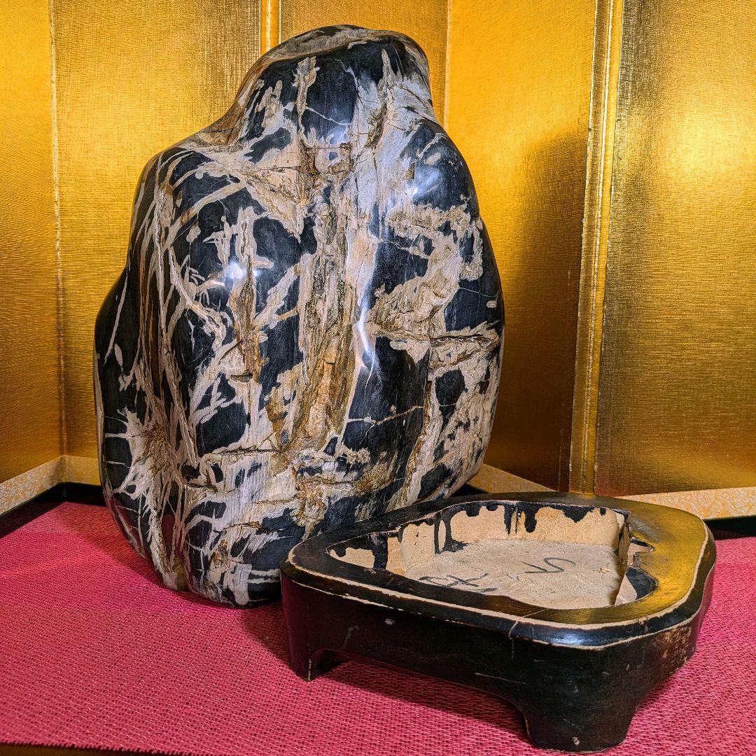 珪化木 9.8㌔ 鑑賞石 観賞石 水石 盆石 天然石 置物