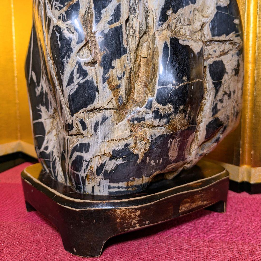 珪化木 9.8㌔ 鑑賞石 観賞石 水石 盆石 天然石 置物