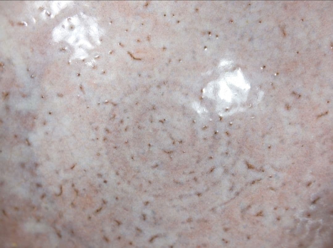 真作保証 波多野善蔵 自作 指月窯 コレクター放出品 佐賀 山口