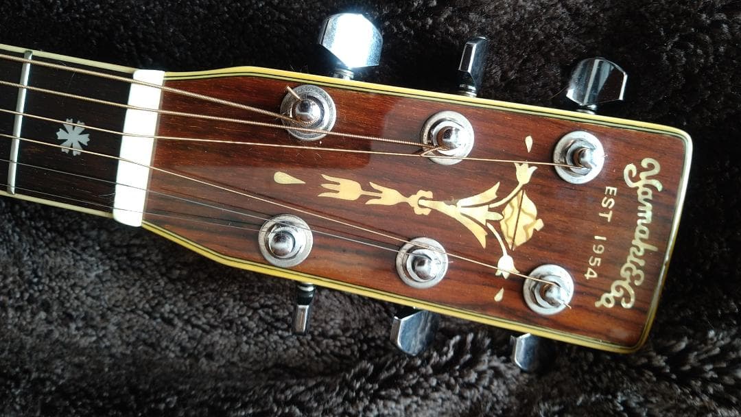 ヤマキ yamaki YD-50 アコースティックギターえぞ松単板