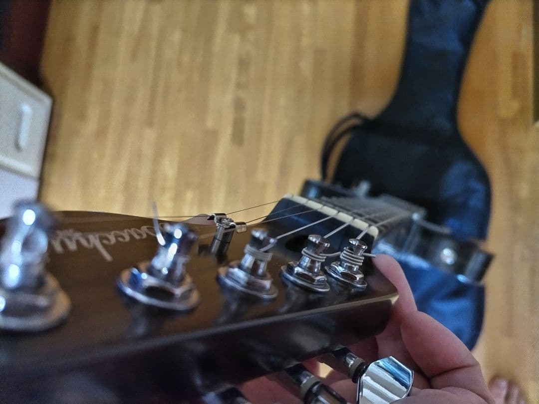 Bacchus エレキギター ダークウッド