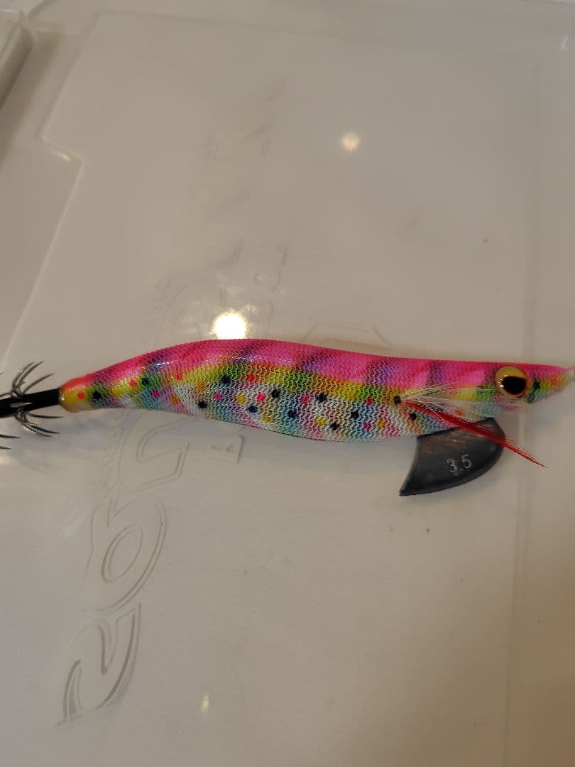 2月 限定価格⚠️‼️値下げ、エバーグリーン　エギ番長　エギング引退セット‼️