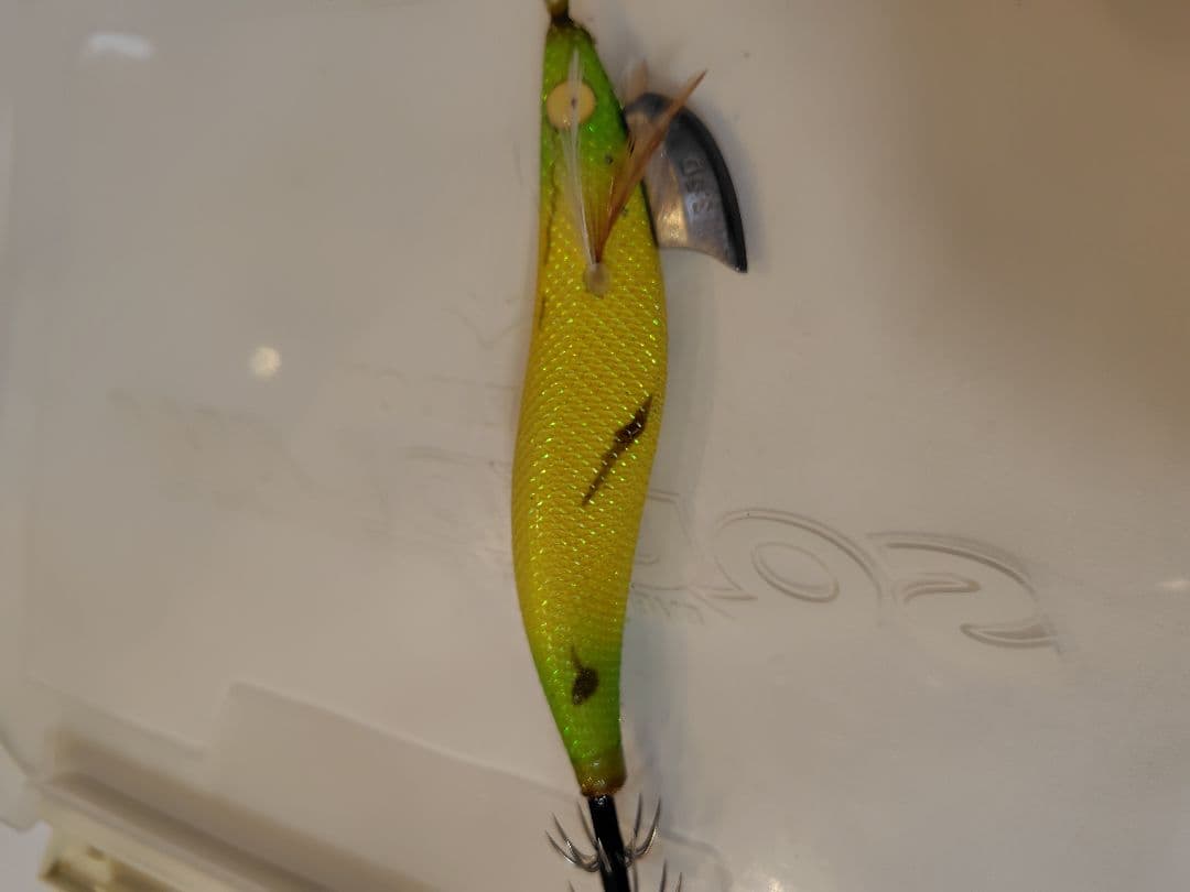 2月 限定価格⚠️‼️値下げ、エバーグリーン　エギ番長　エギング引退セット‼️