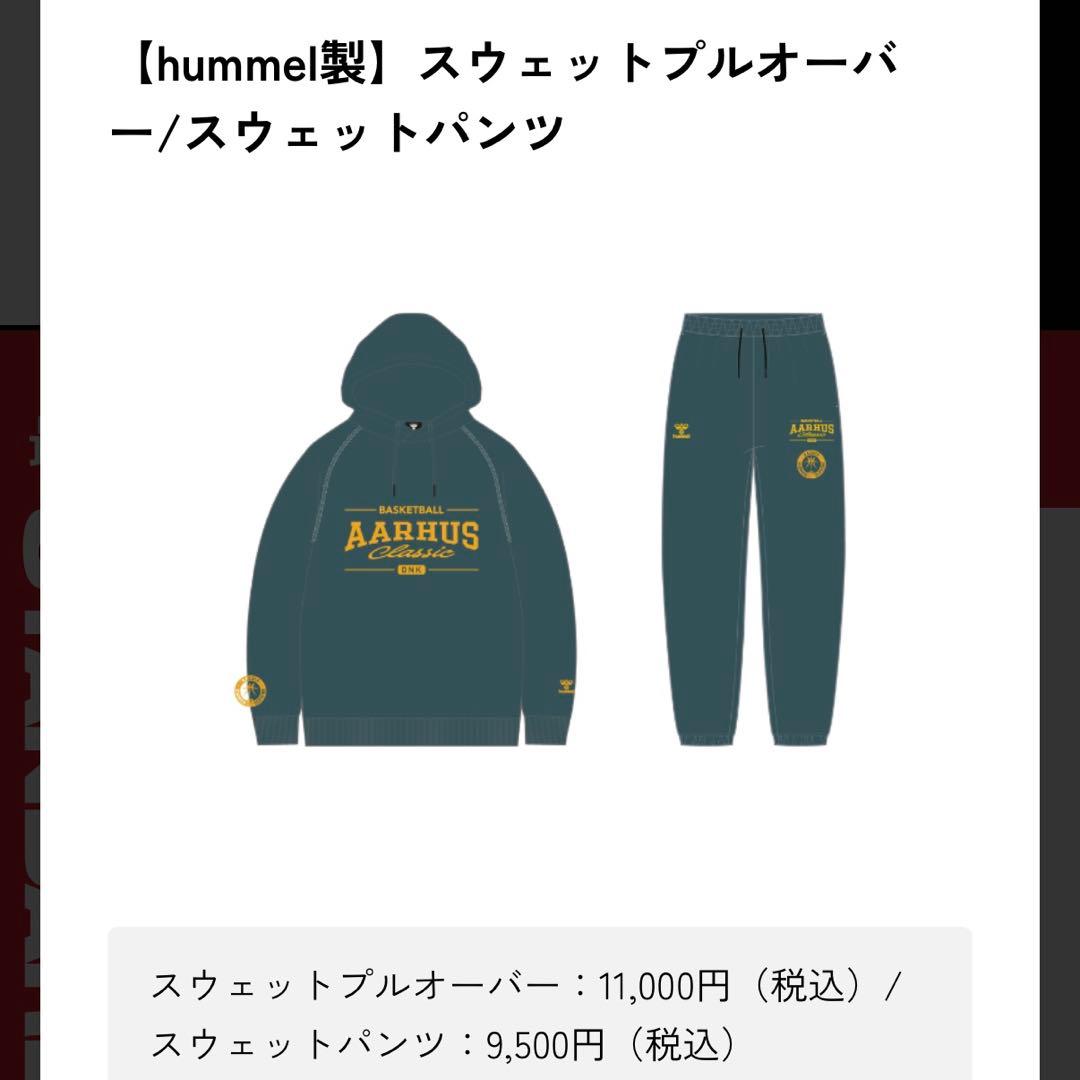 2【美品】hummel スウェットパーカー　名古屋ダイヤモンドドルフィンズ