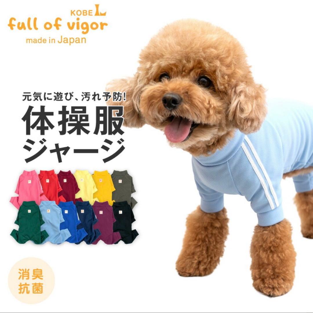 full of vigor フルオブビガー DLサイズ お洋服11着セット