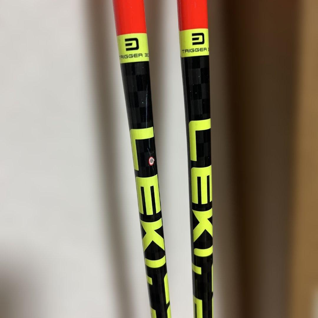 LEKI GS ストック