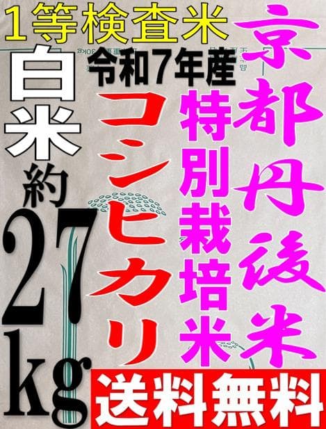一等検査 特別栽培米 令和7年産 京都 丹後 コシヒカリ 白米 約 27kg3袋