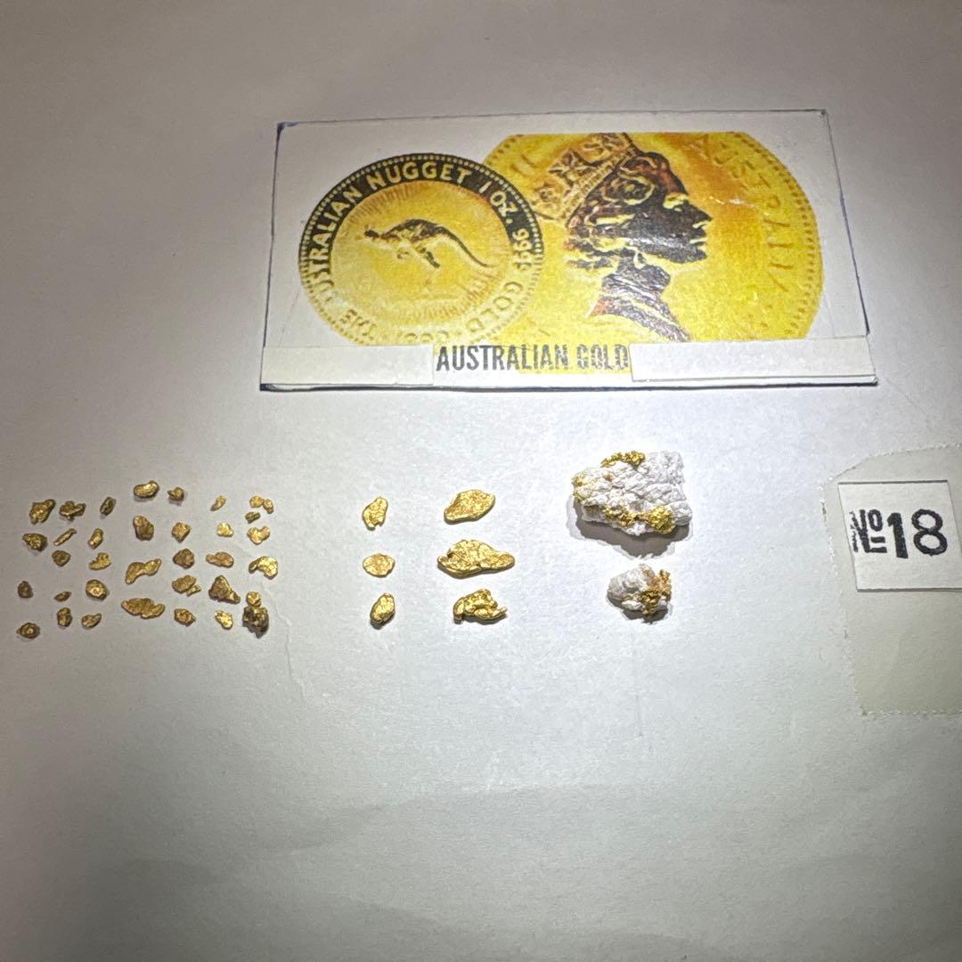 金*粒様 砂金(18)