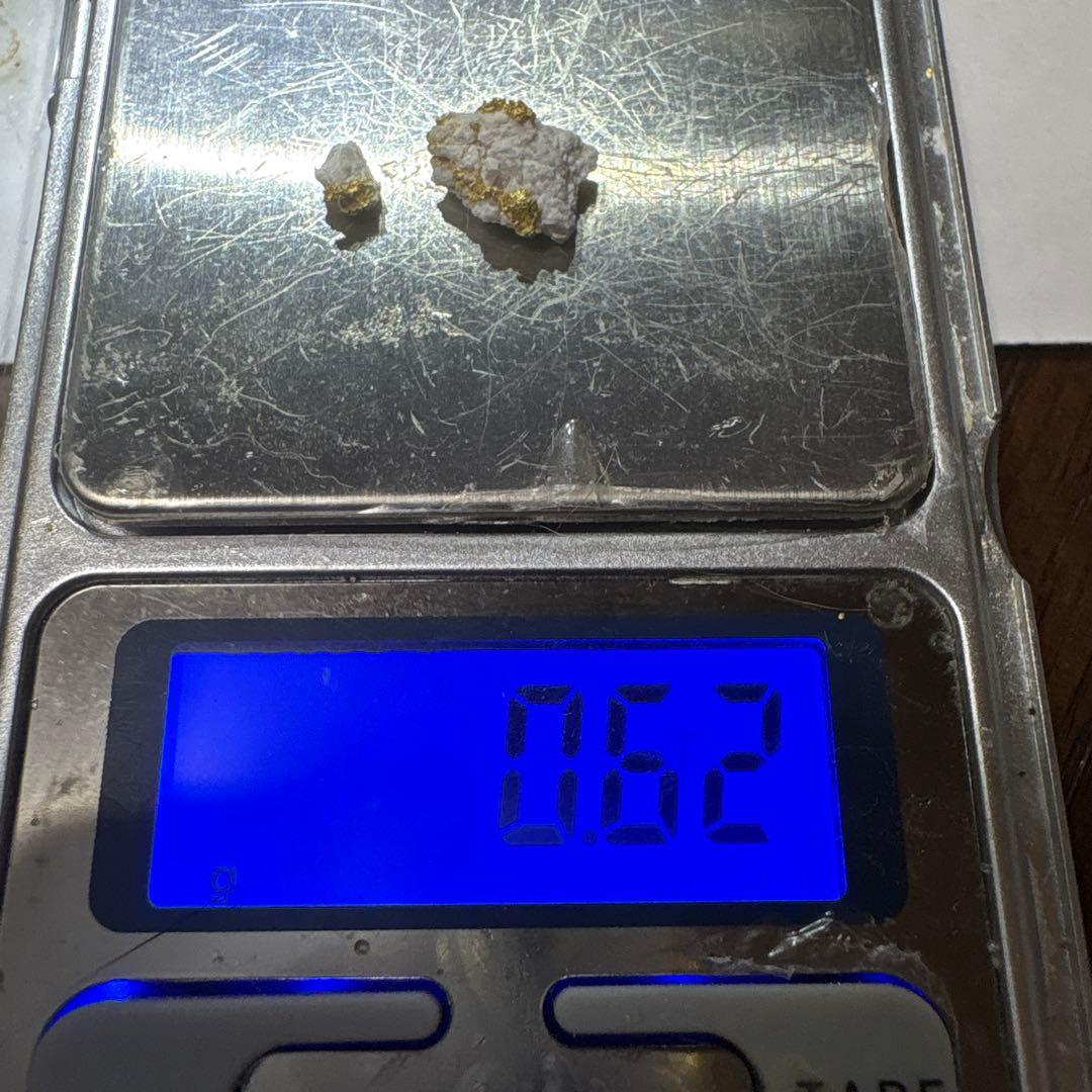 金*粒様 砂金(18)