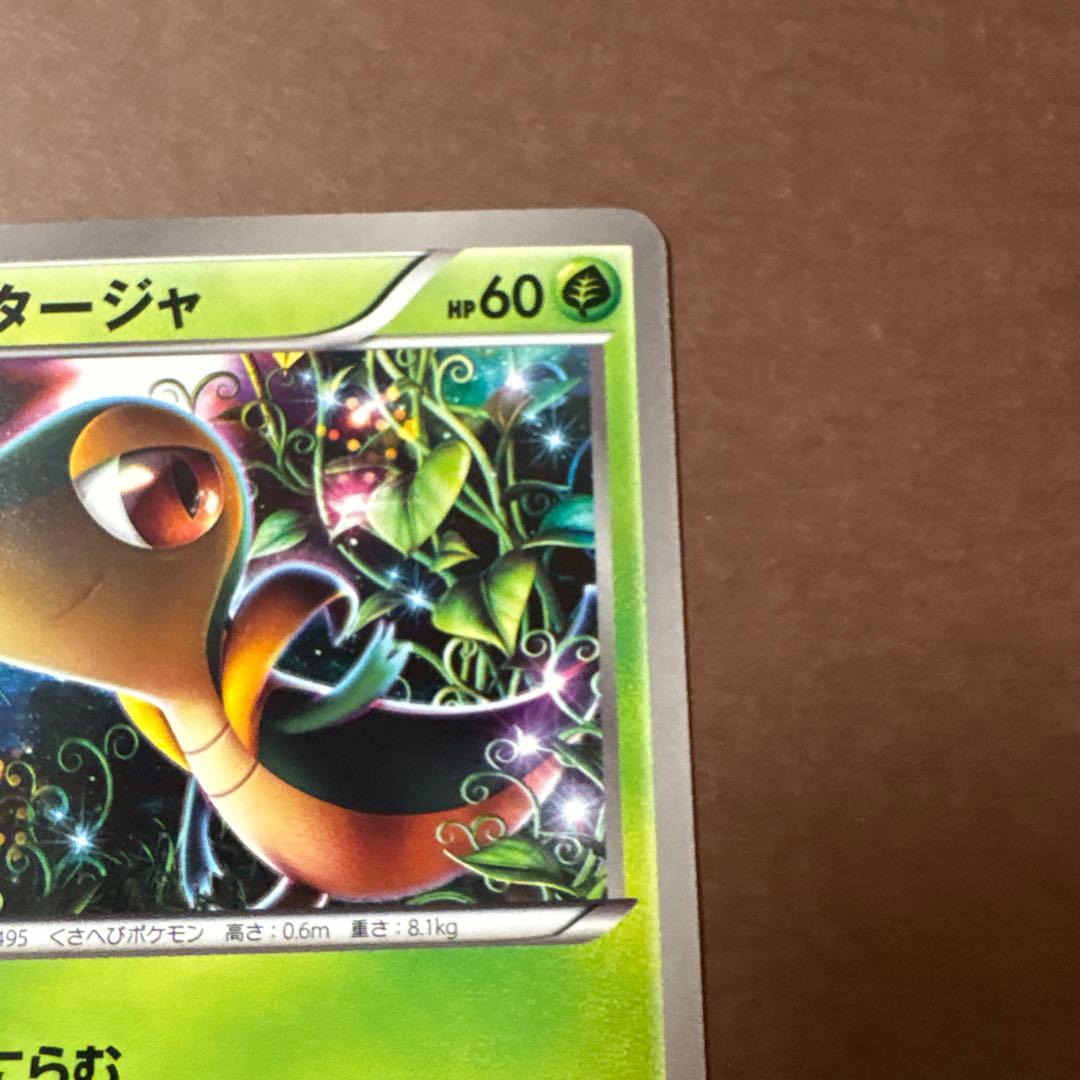 ポケモンカード ツタージャ プロモ ユニクロ 018/BW-P 希少プロモ