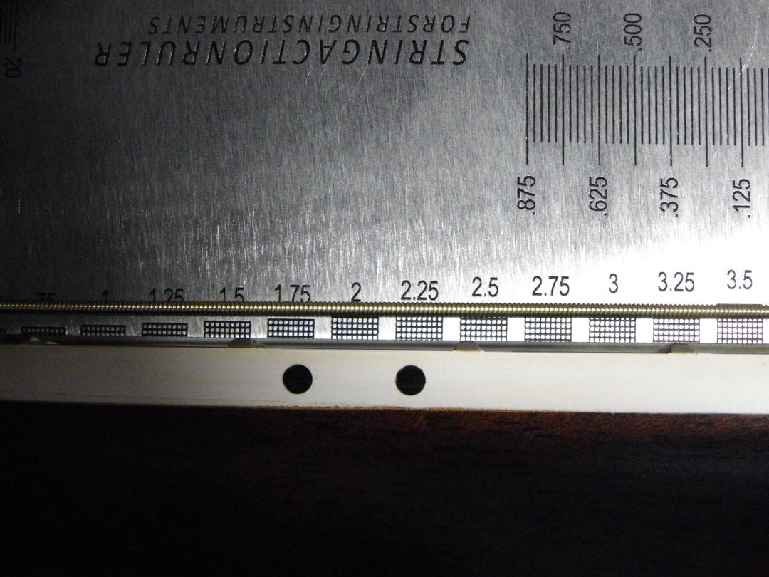 お値引き/シーガルArtist Studio EQエレアコ、LR Baggs装備