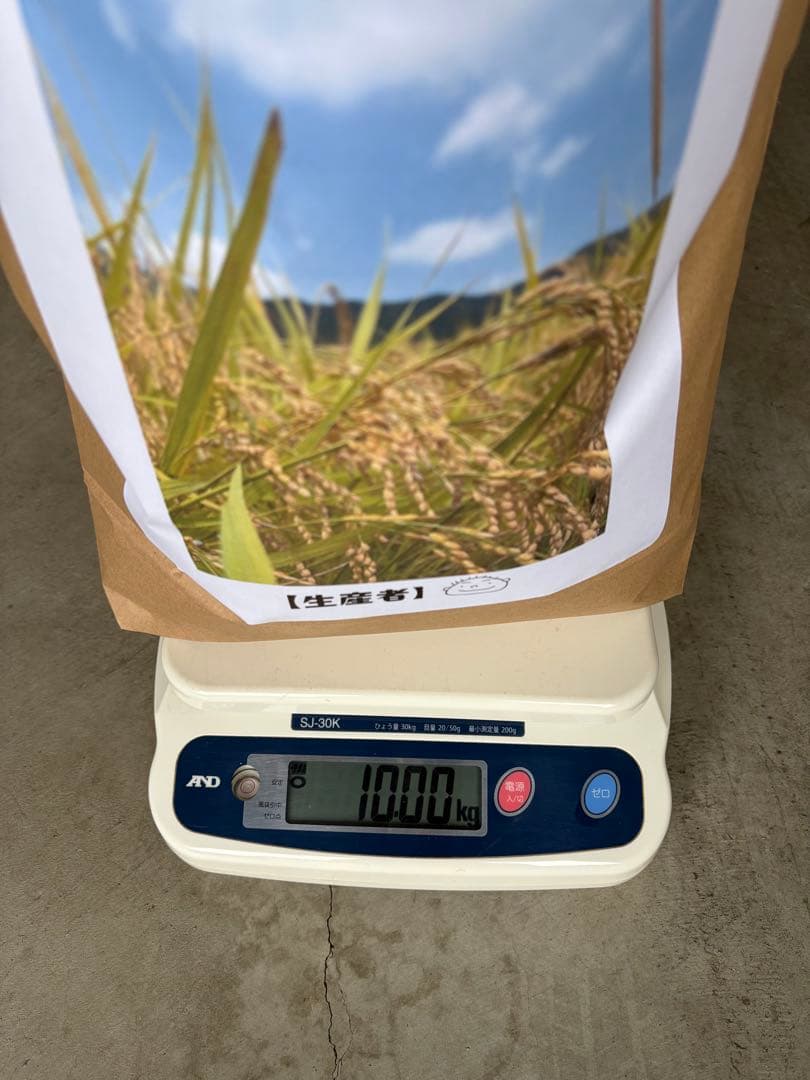 令和7年 新米 コシヒカリ10kg玄米