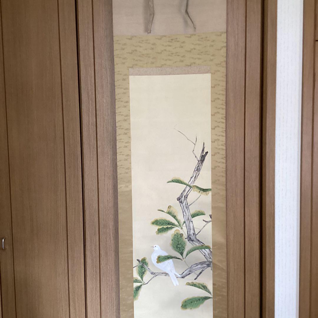 武田一路筆　彩色花鳥画　【　銀　鳩　図　】　肉筆　自題箱　　絹本掛軸一幅　509