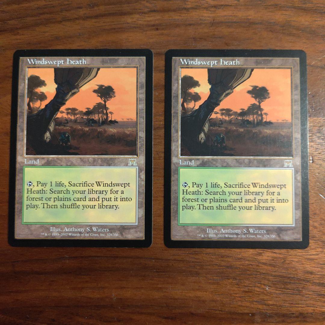 MTG 英語　吹きさらしの荒野　２枚　オンスロート版