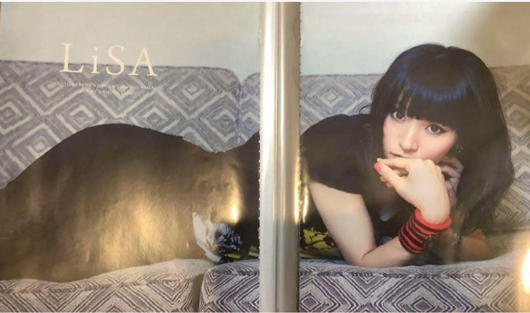 【500P以上】お値段以上　Lisa デビューから　素人切り抜き