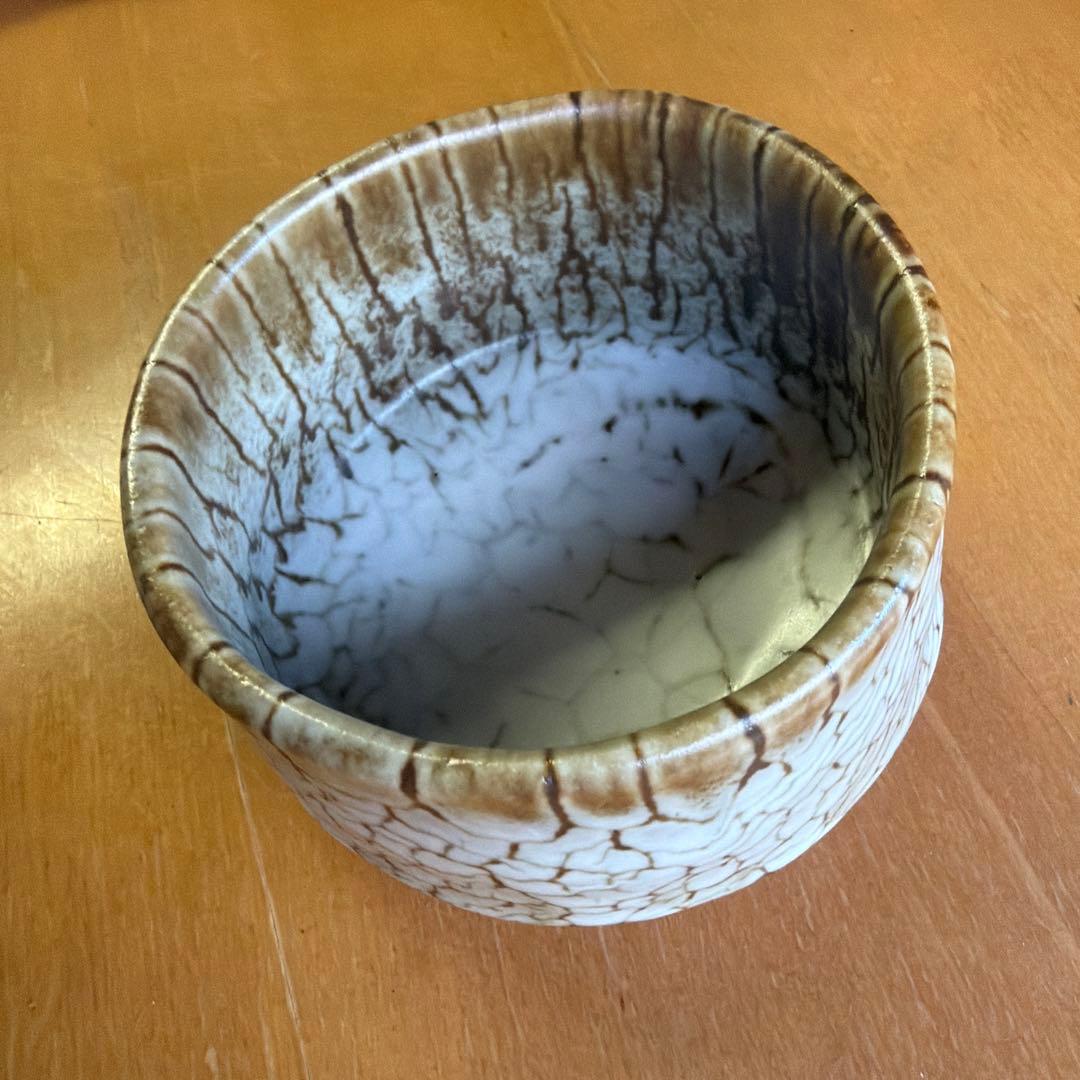 陶芸家 [加藤 寿逸] 鉄彩白釉 瀬戸志野焼