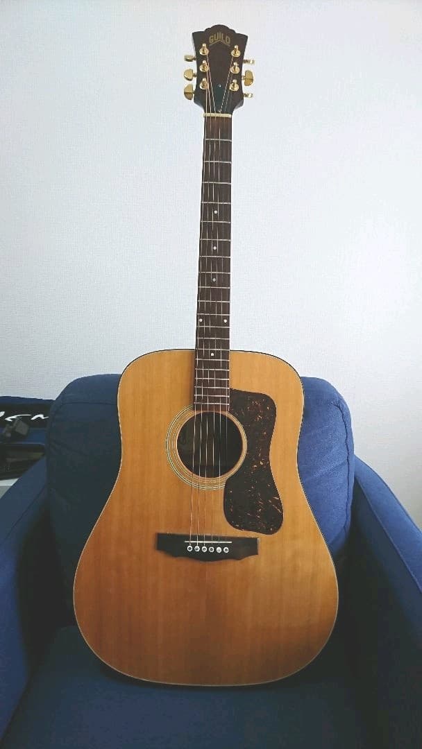 Guild　ギルド D35 1979年　USA製