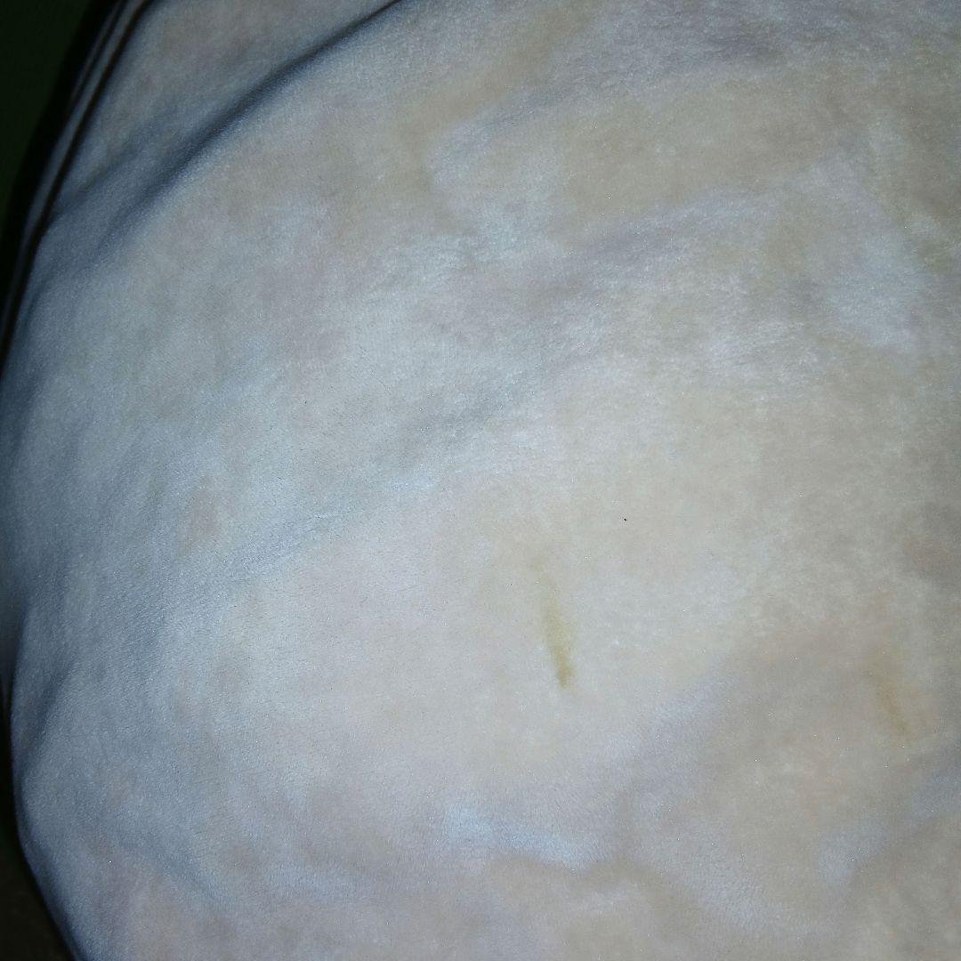 だるいぬ団　にゃもち　二代目ボス　ぬいぐるみ　ドウシシャ　ベージュ　大きめ