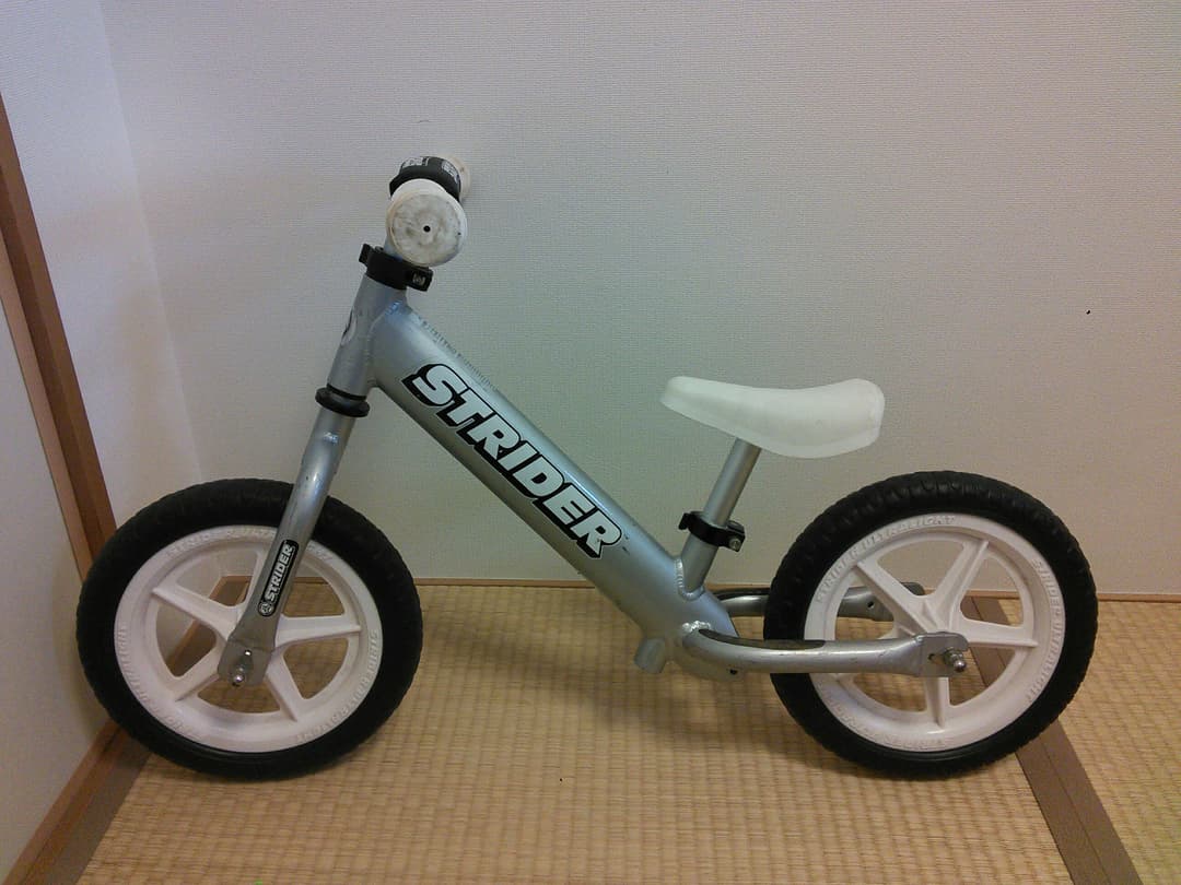 ストライダー　プロ