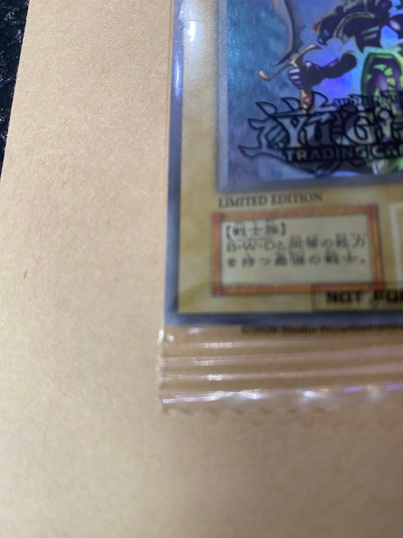 EU版　カオスソルジャー　バニラ　未開封